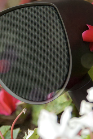 Origin Acoustics AS41SYS hos Car N Coulours